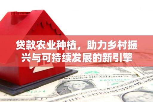 疏附贷款农业种植，助力乡村振兴与可持续发展的新引擎