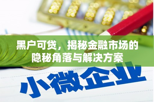 疏附黑户可贷，揭秘金融市场的隐秘角落与解决方案