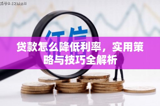 疏附贷款怎么降低利率，实用策略与技巧全解析