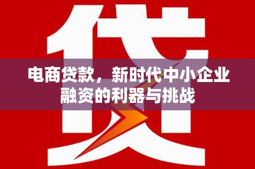 疏附电商贷款，新时代中小企业融资的利器与挑战