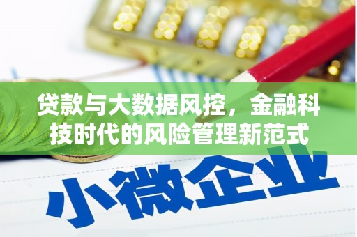 疏附贷款与大数据风控，金融科技时代的风险管理新范式