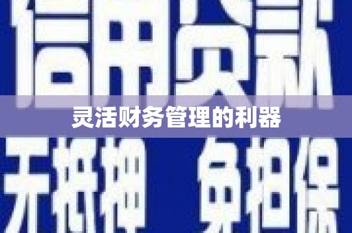 疏附灵活财务管理的利器