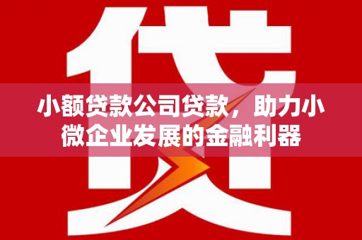 疏附小额贷款公司贷款，助力小微企业发展的金融利器