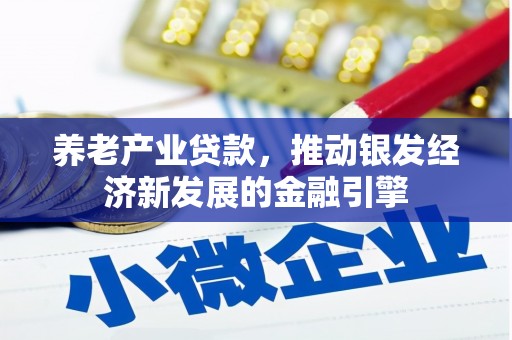 疏附养老产业贷款，推动银发经济新发展的金融引擎