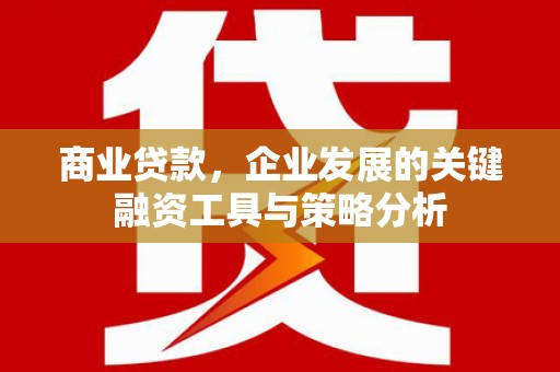 疏附商业贷款，企业发展的关键融资工具与策略分析