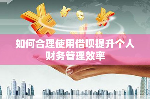 疏附如何合理使用借呗提升个人财务管理效率