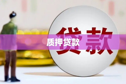 疏附质押贷款