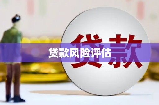 疏附贷款风险评估