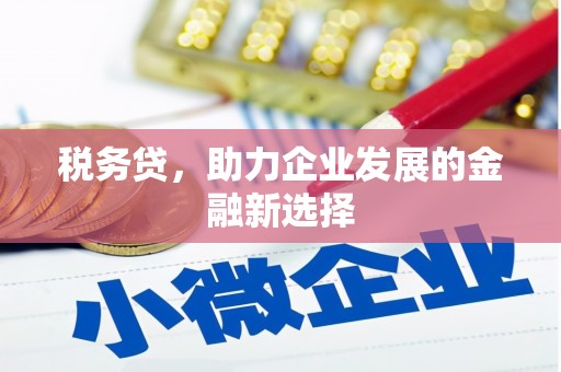 疏附税务贷，助力企业发展的金融新选择