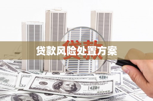疏附贷款风险处置方案