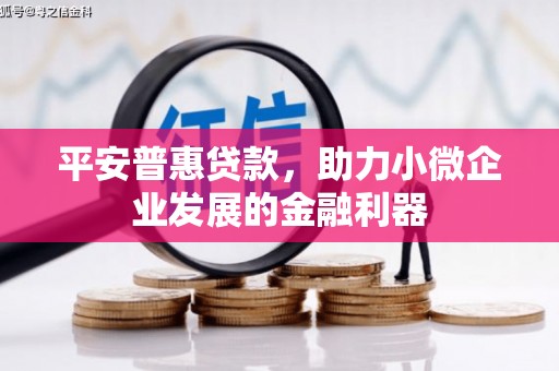 疏附平安普惠贷款，助力小微企业发展的金融利器