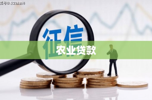 疏附农业贷款