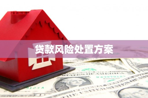 疏附贷款风险处置方案
