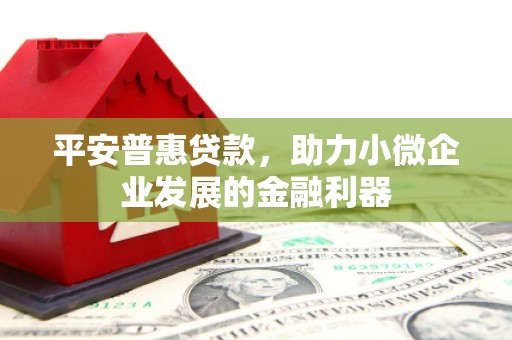 疏附平安普惠贷款，助力小微企业发展的金融利器