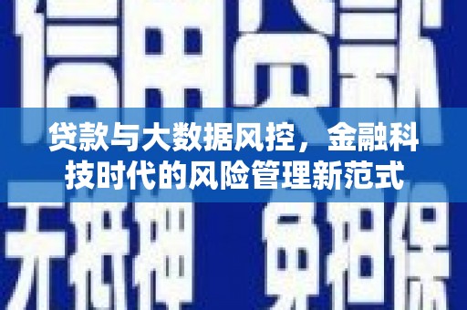 疏附贷款与大数据风控，金融科技时代的风险管理新范式