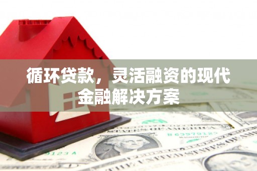 疏附循环贷款，灵活融资的现代金融解决方案