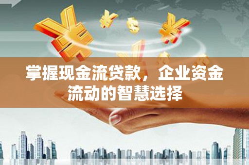 疏附掌握现金流贷款，企业资金流动的智慧选择
