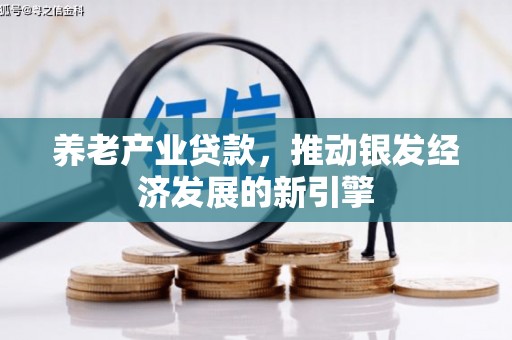 疏附养老产业贷款，推动银发经济发展的新引擎