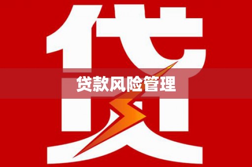 疏附贷款风险管理