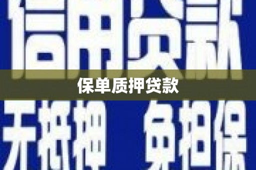 疏附保单质押贷款