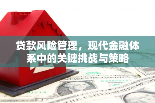 疏附贷款风险管理，现代金融体系中的关键挑战与策略