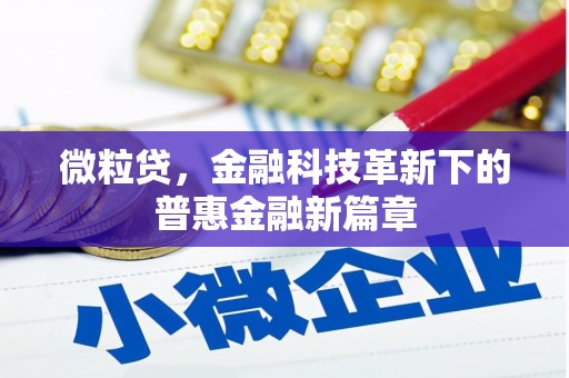 疏附微粒贷，金融科技革新下的普惠金融新篇章