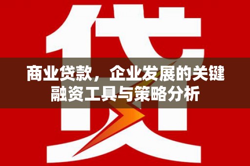 疏附商业贷款，企业发展的关键融资工具与策略分析