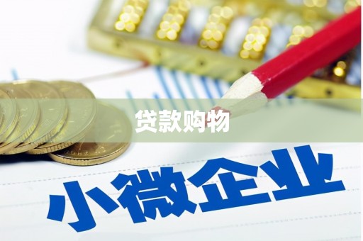 疏附贷款购物