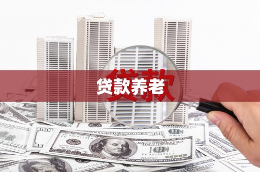 疏附贷款养老