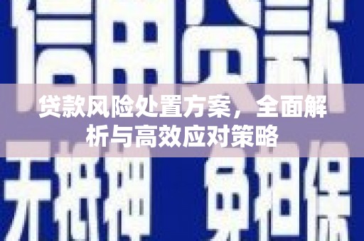 疏附贷款风险处置方案，全面解析与高效应对策略