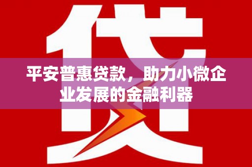 疏附平安普惠贷款，助力小微企业发展的金融利器
