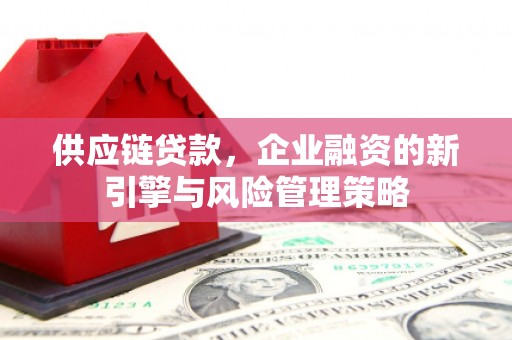 疏附供应链贷款，企业融资的新引擎与风险管理策略