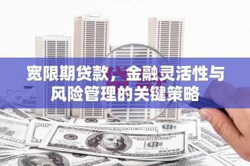 疏附宽限期贷款，金融灵活性与风险管理的关键策略