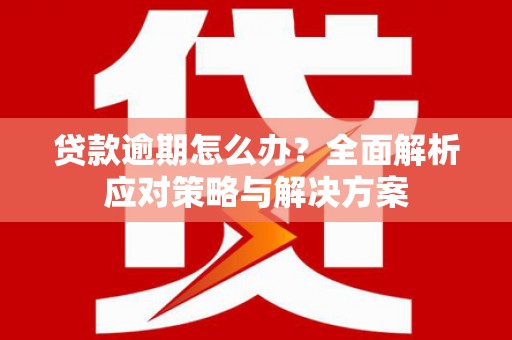 疏附贷款逾期怎么办？全面解析应对策略与解决方案