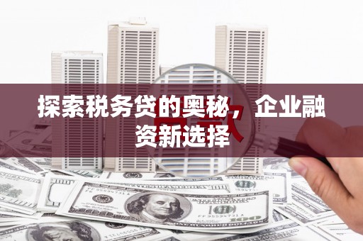 疏附探索税务贷的奥秘，企业融资新选择