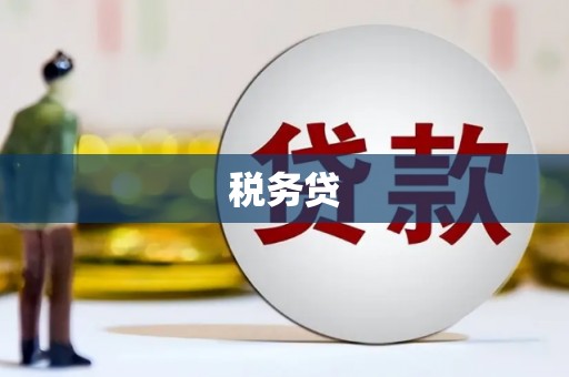 疏附税务贷