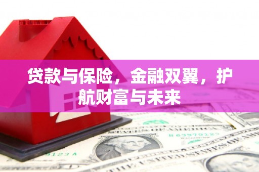 疏附贷款与保险，金融双翼，护航财富与未来