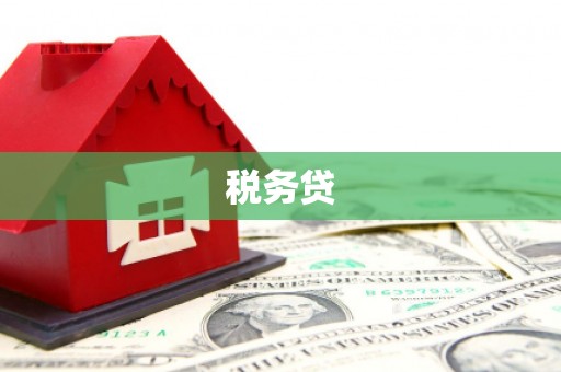 疏附税务贷