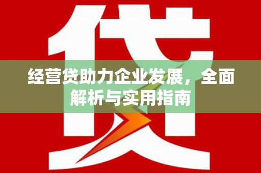 疏附经营贷助力企业发展，全面解析与实用指南