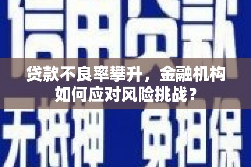 疏附贷款不良率攀升，金融机构如何应对风险挑战？