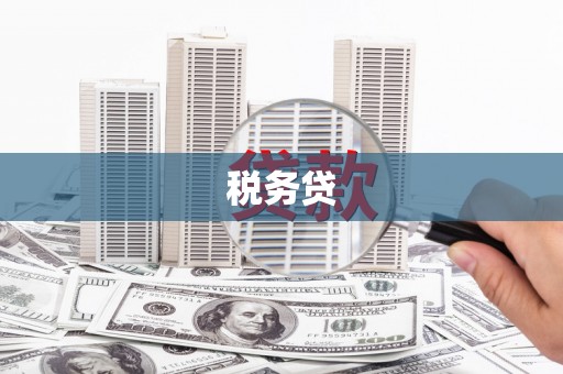 疏附税务贷