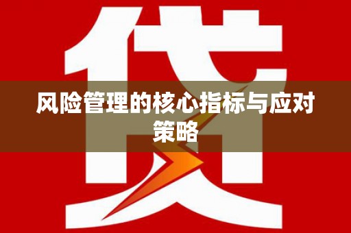 疏附风险管理的核心指标与应对策略