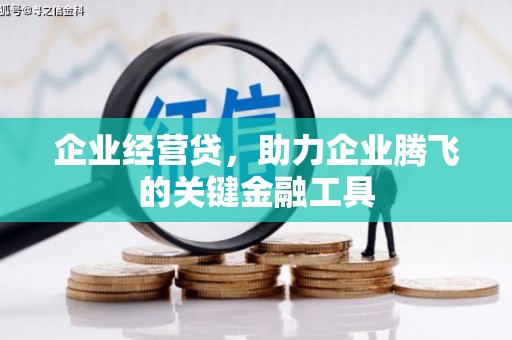 疏附企业经营贷，助力企业腾飞的关键金融工具
