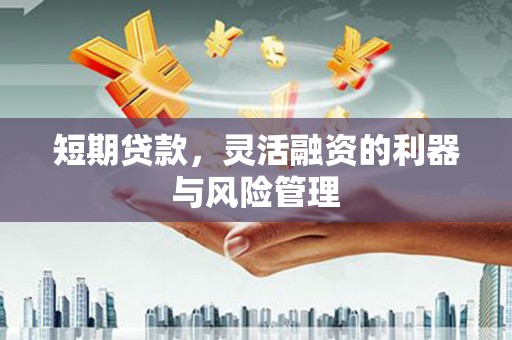 疏附短期贷款，灵活融资的利器与风险管理