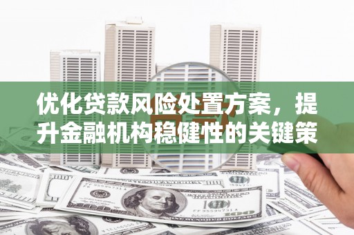 疏附优化贷款风险处置方案，提升金融机构稳健性的关键策略