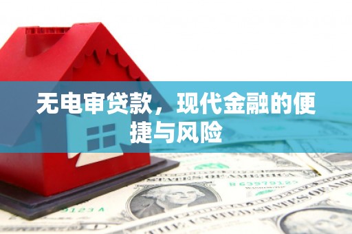 疏附无电审贷款，现代金融的便捷与风险