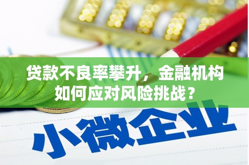 疏附贷款不良率攀升，金融机构如何应对风险挑战？