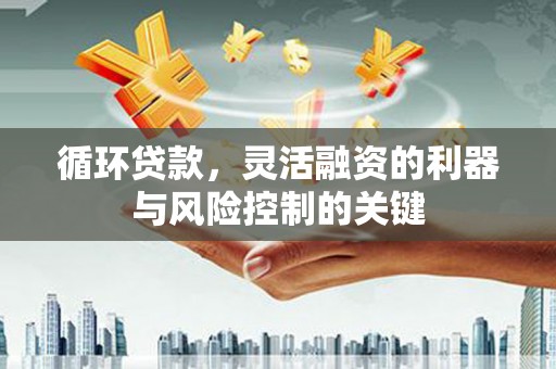 疏附循环贷款，灵活融资的利器与风险控制的关键