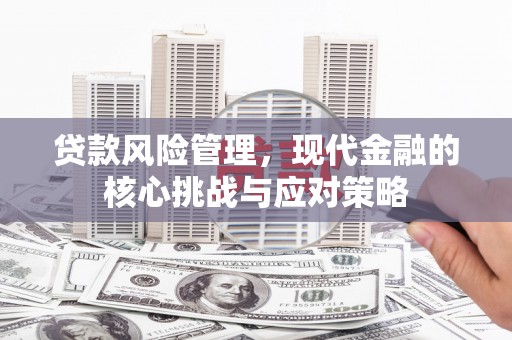 疏附贷款风险管理，现代金融的核心挑战与应对策略