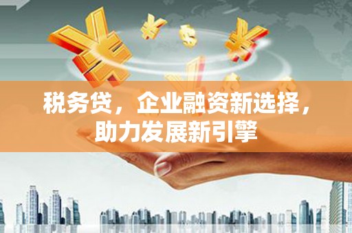 疏附税务贷，企业融资新选择，助力发展新引擎
